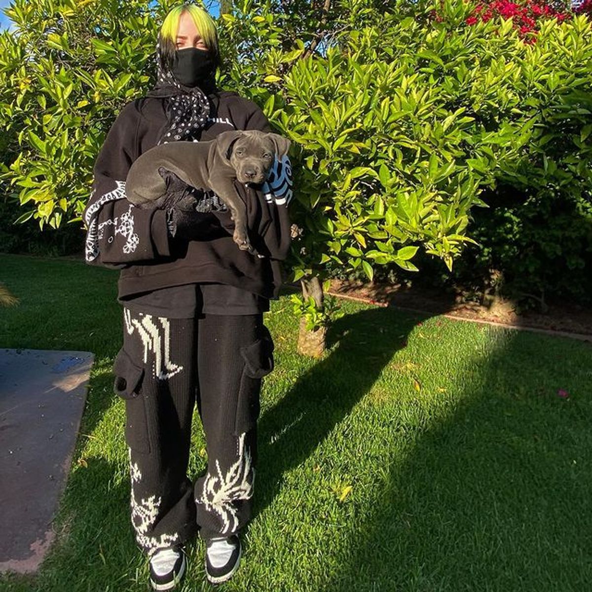Billie Eilish Outfit from April 18, 2020 | WHAT’S ON THE STAR?