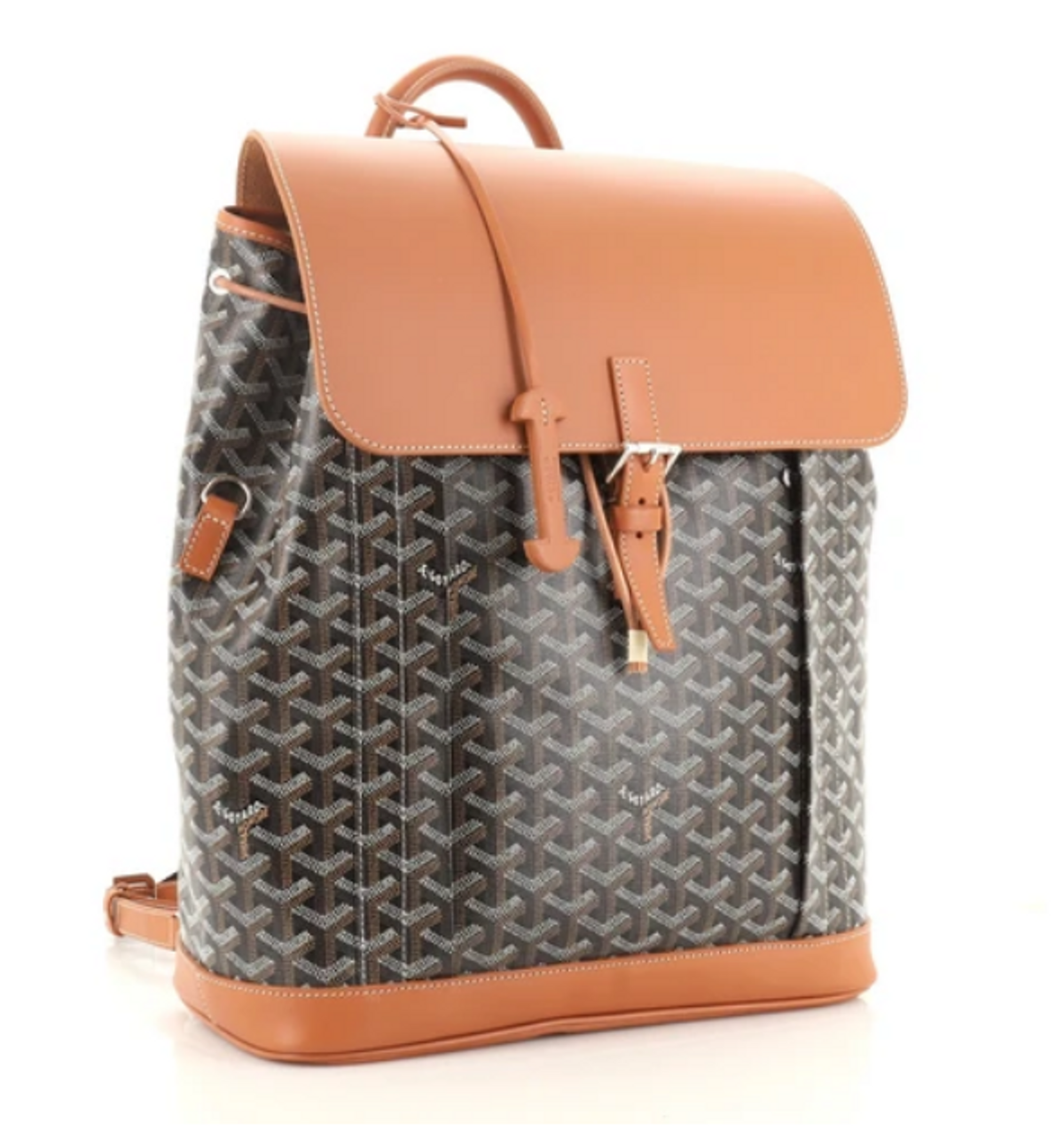 Goyard Alpin Coated Canvas MM Backpack