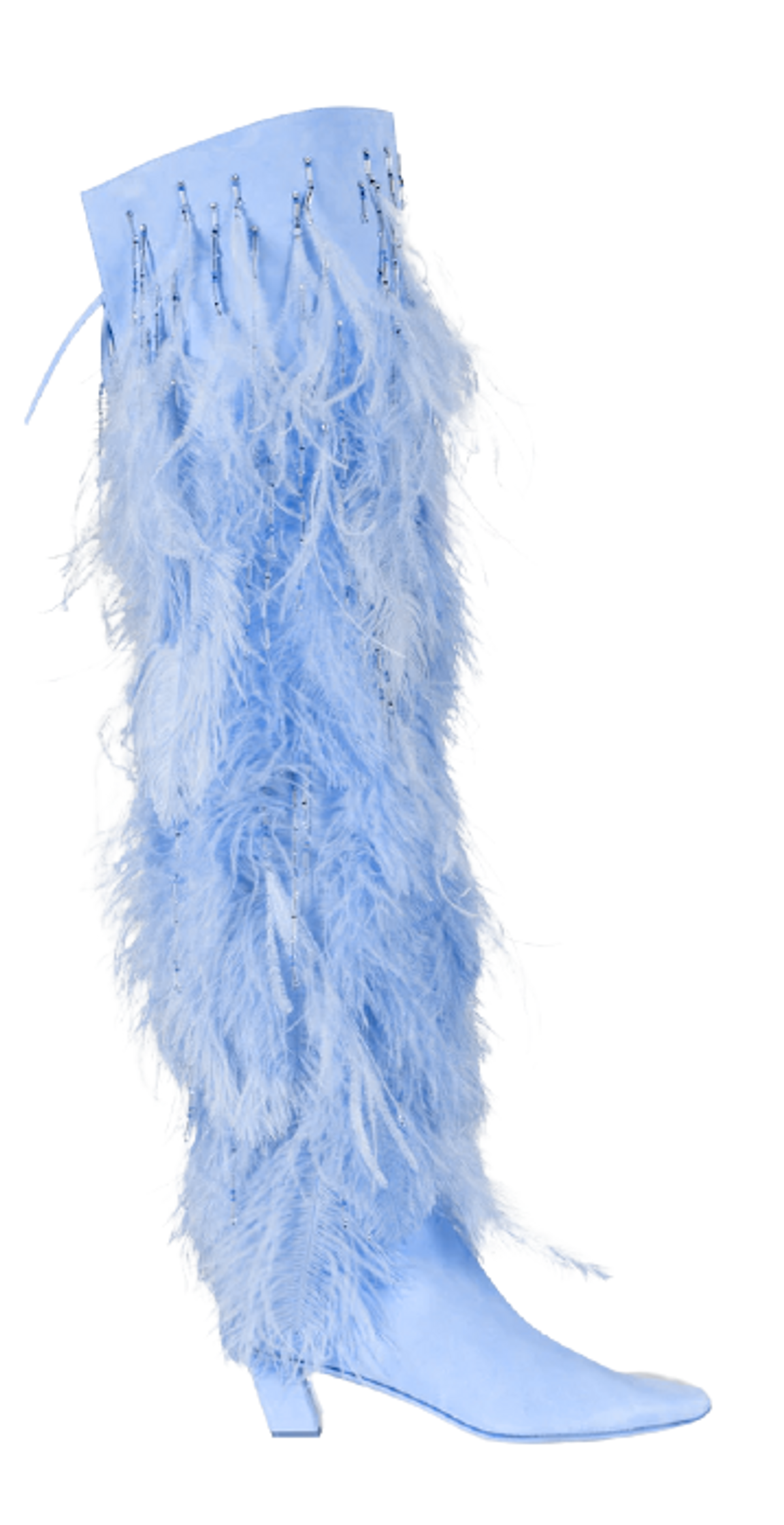 Roger Vivier Belle Vivier Over Knee Feathers Boots