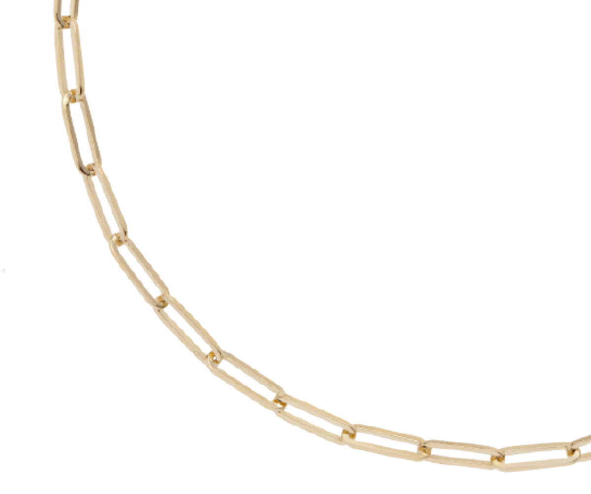 Jennifer Fisher 14K Long Link Chain