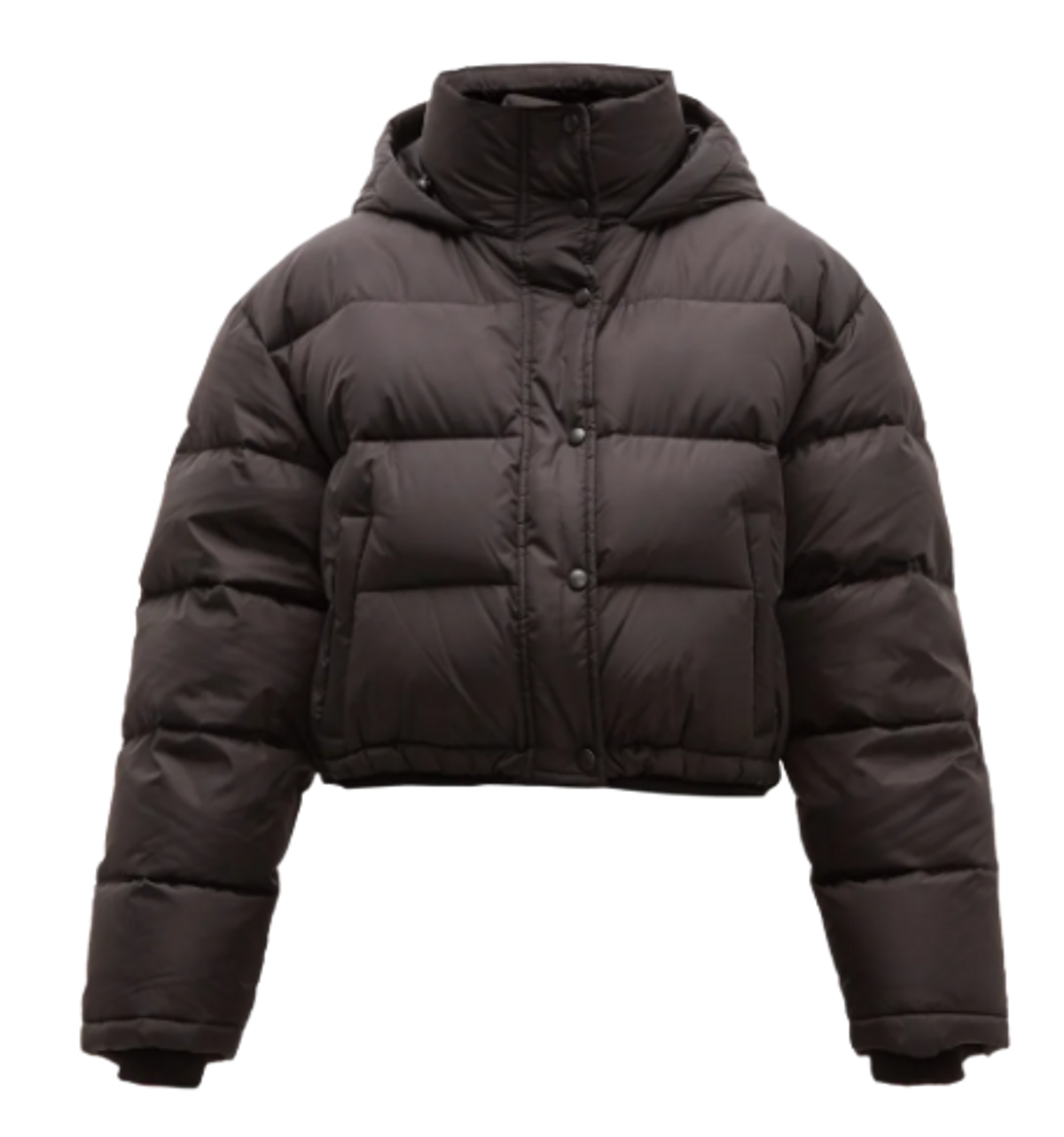 Wardrobe.NYC Release 03 Cropped Down Filled Puffer Black Jacket WHAT’S ON THE STAR?