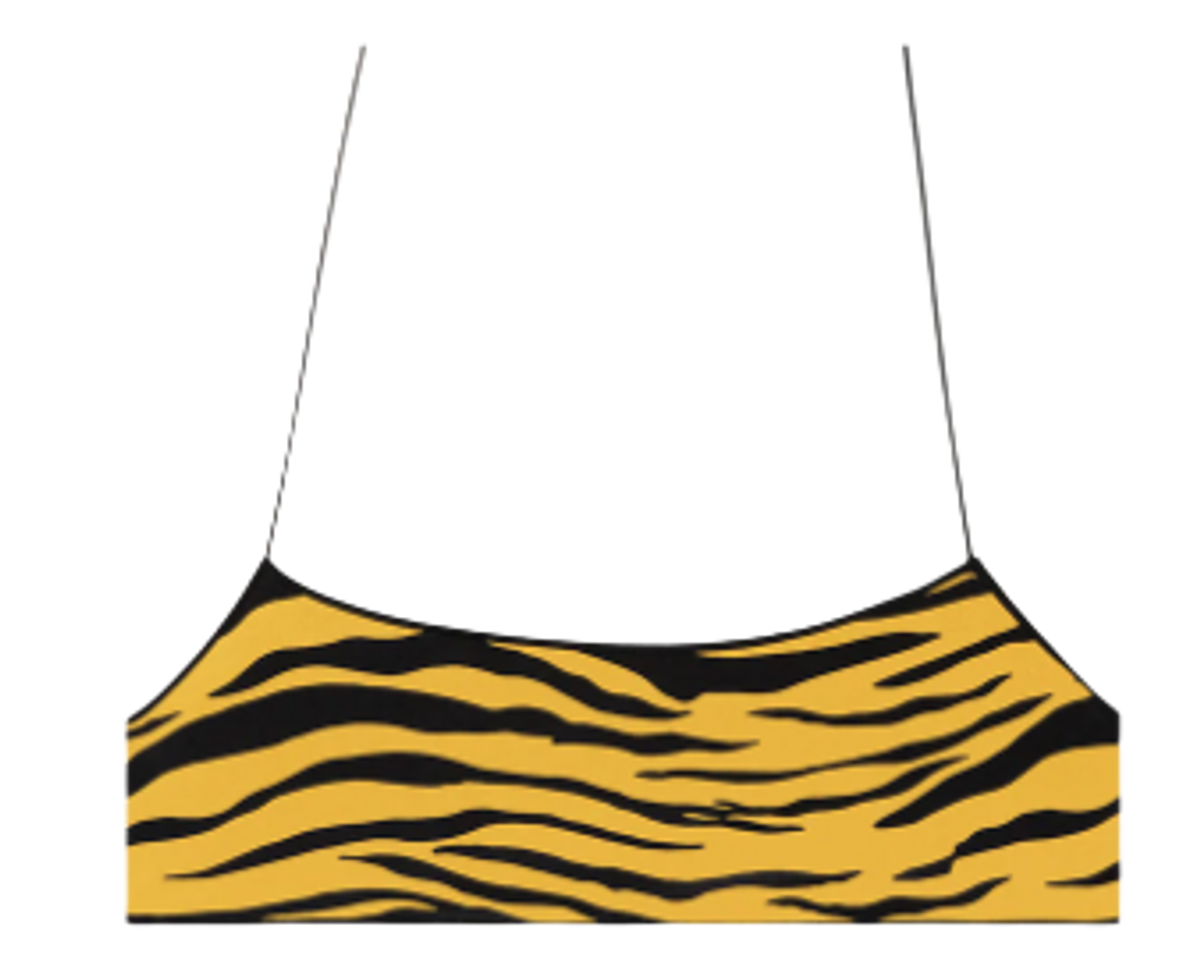 Tropic Of C C Zebra Sunshine Bralette