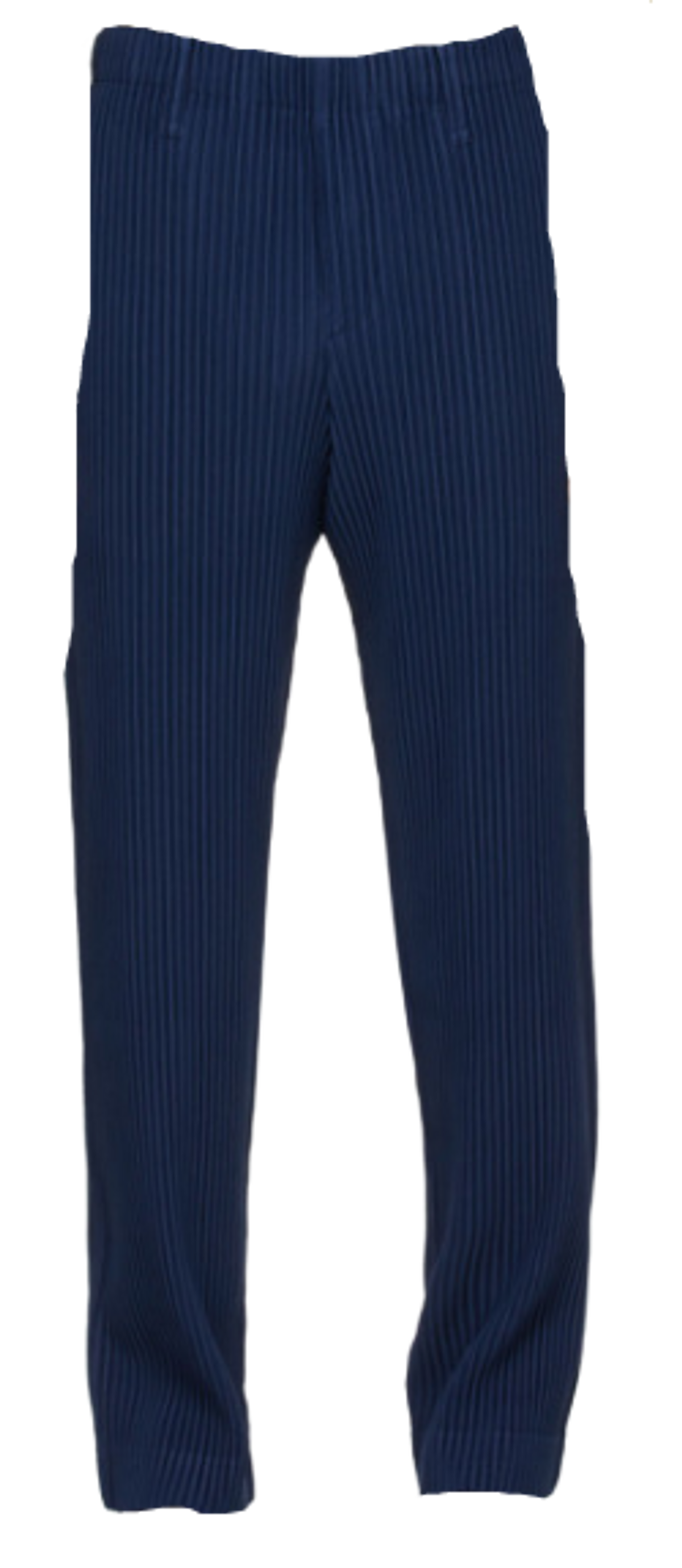 Issey Miyake Blue Tailored Pleats 2 Trousers