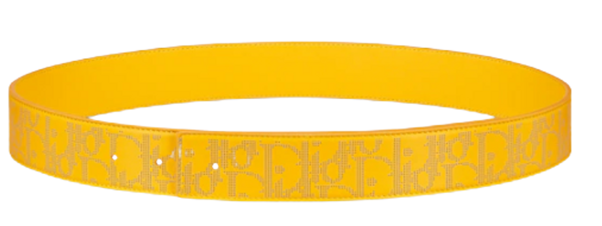 Dior World Tour Reversible Strap Belt