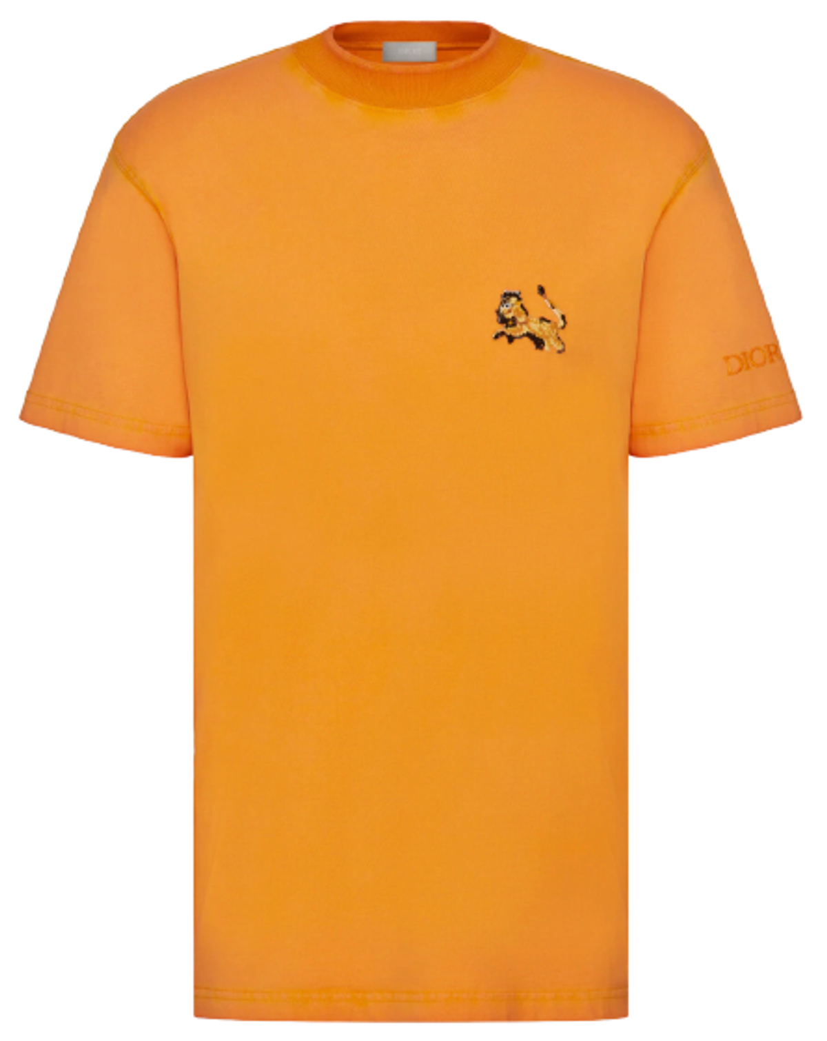 Dior × Peter Doig Orange Cotton Jersey Oversized T-Shirt