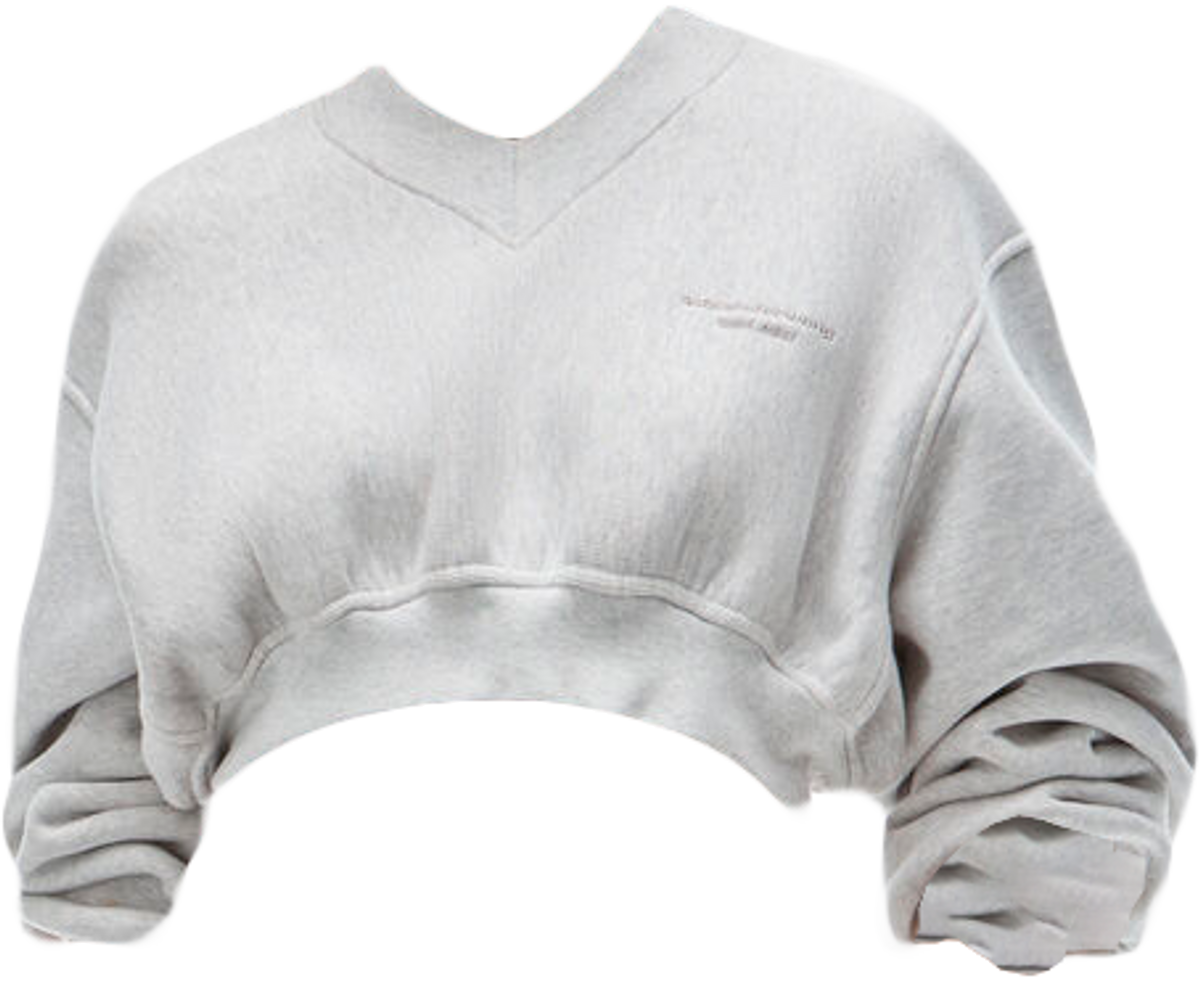 Alexander Wang Cropped Pullover Classic Terry Light Heather Grey Sweatshirt