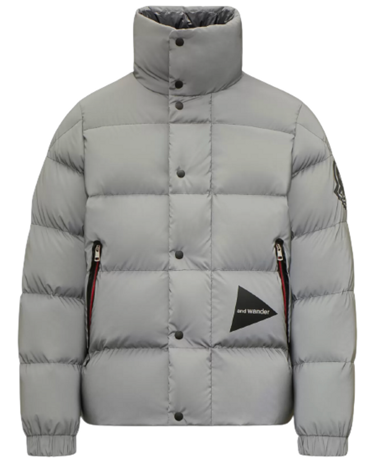 Moncler Bunkyo Metalic Silver Down Jacket
