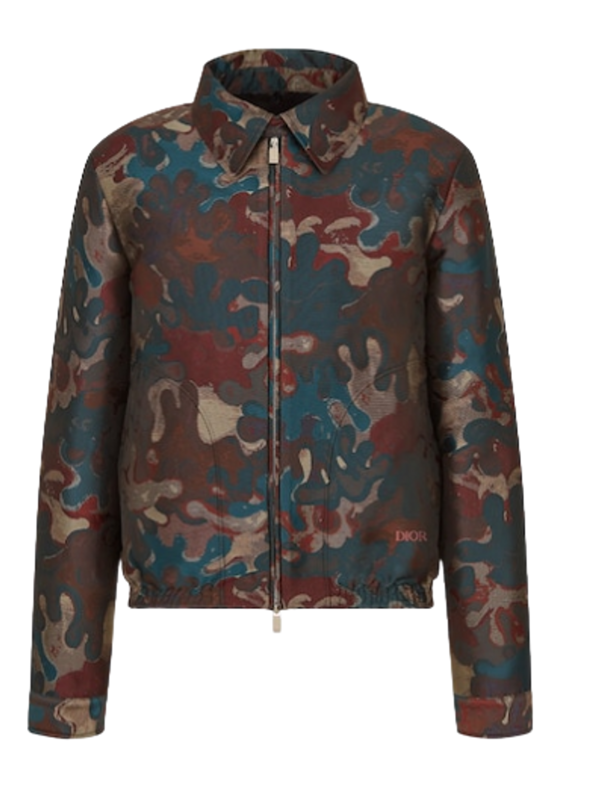 Dior × Peter Doig Blouson Multicolor Jacket