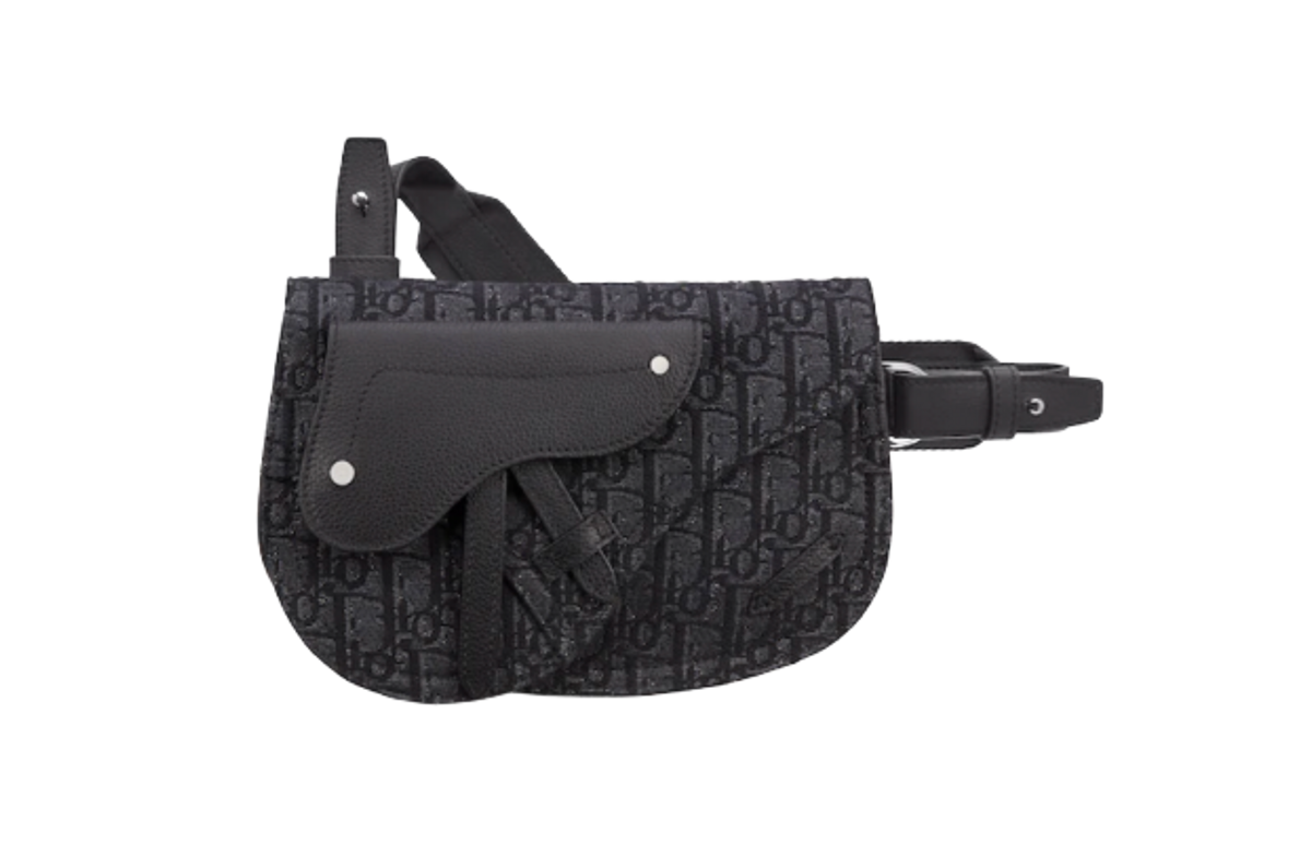 Dior Saddle Pouch WHAT’S ON THE STAR?