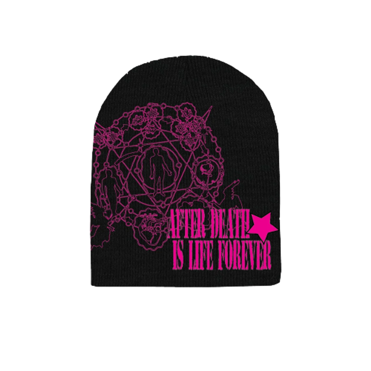 After Death Is Life Forever ADLF Black Beanie