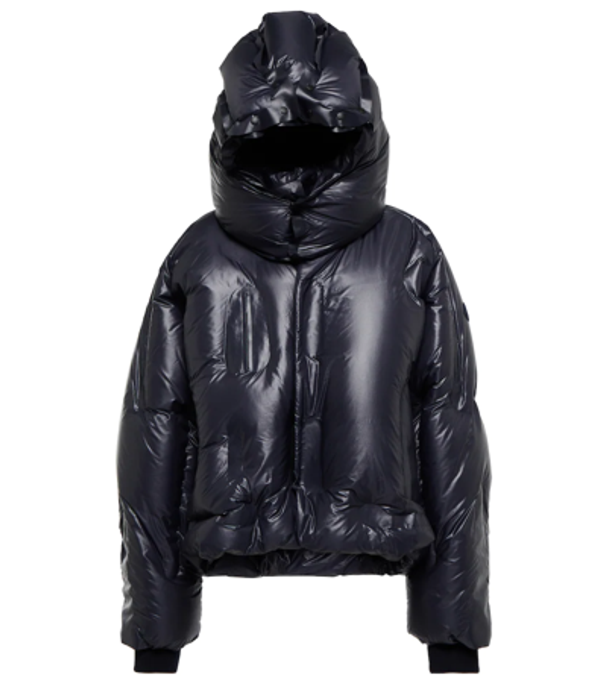 Moncler × Ding Yun Zhang Navy Down Jacket