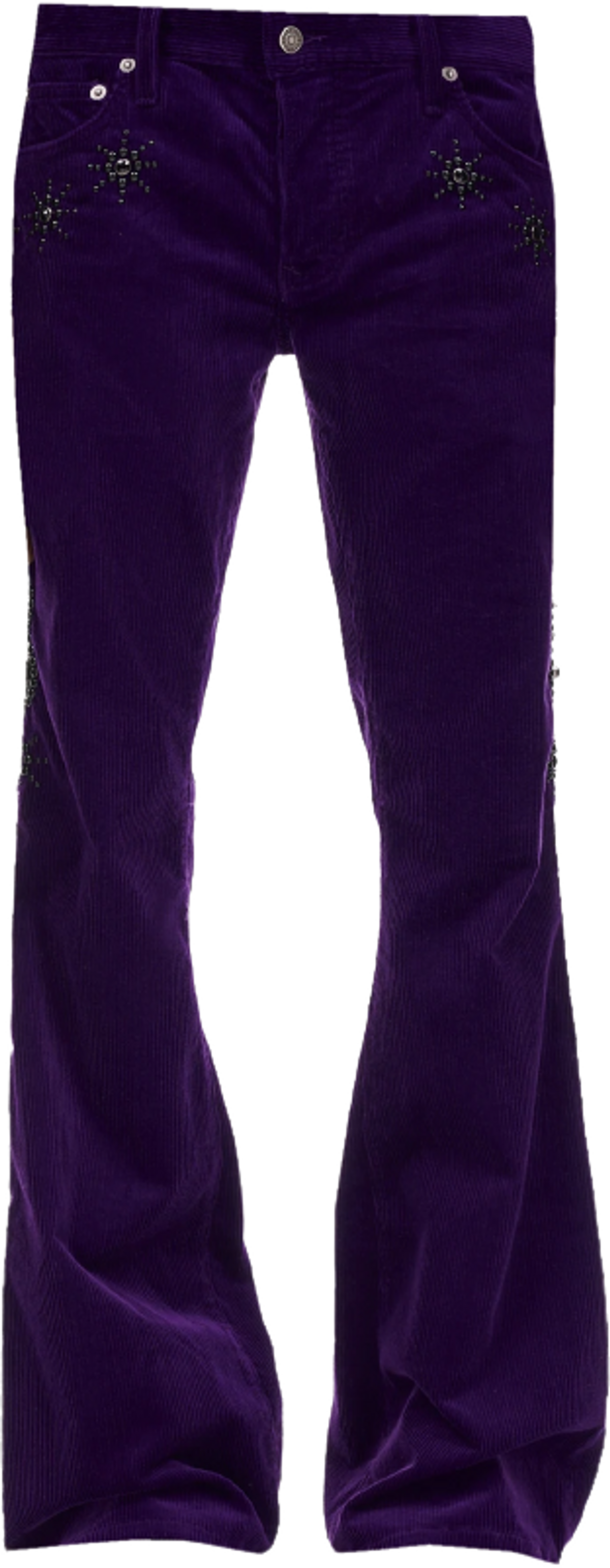 Cout De La Liberte Jimmy Embellished Corduroy Purple Trousers