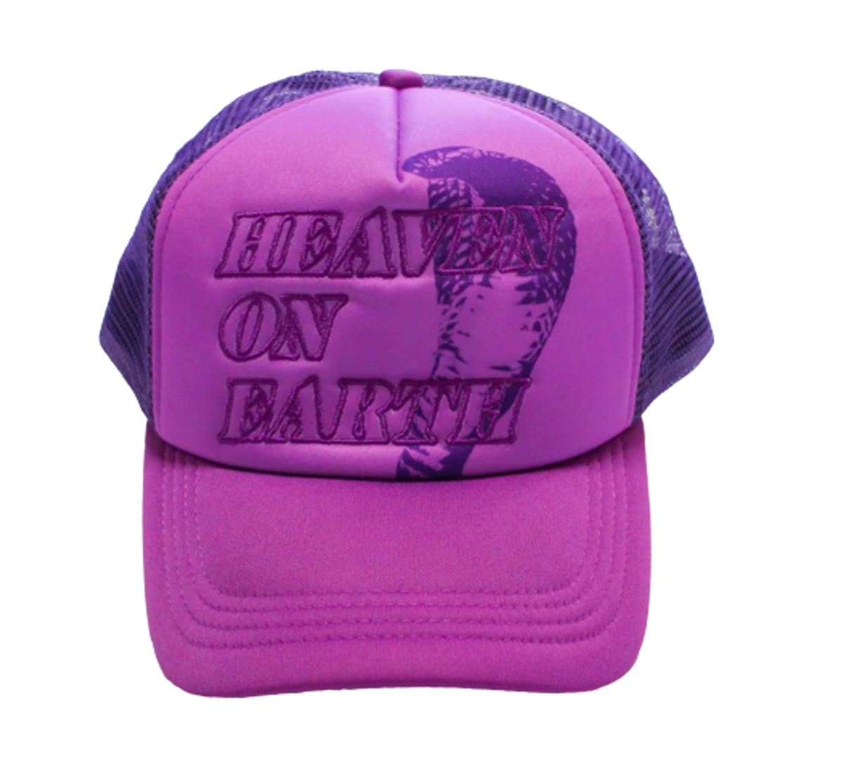 Erehwon Heaven On Earth Purple Snake Hat