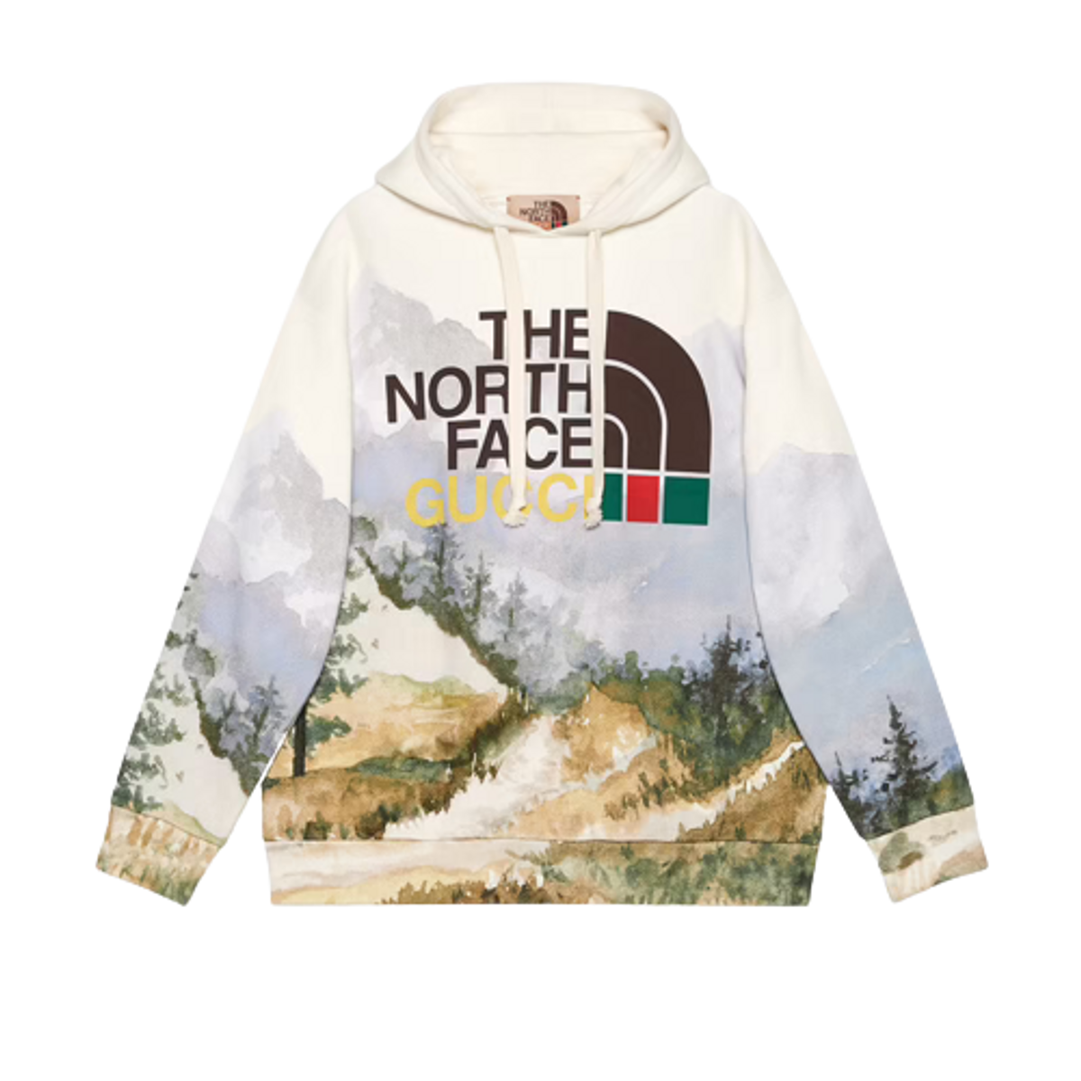 Gucci × The North Face Multicolor Hoodie
