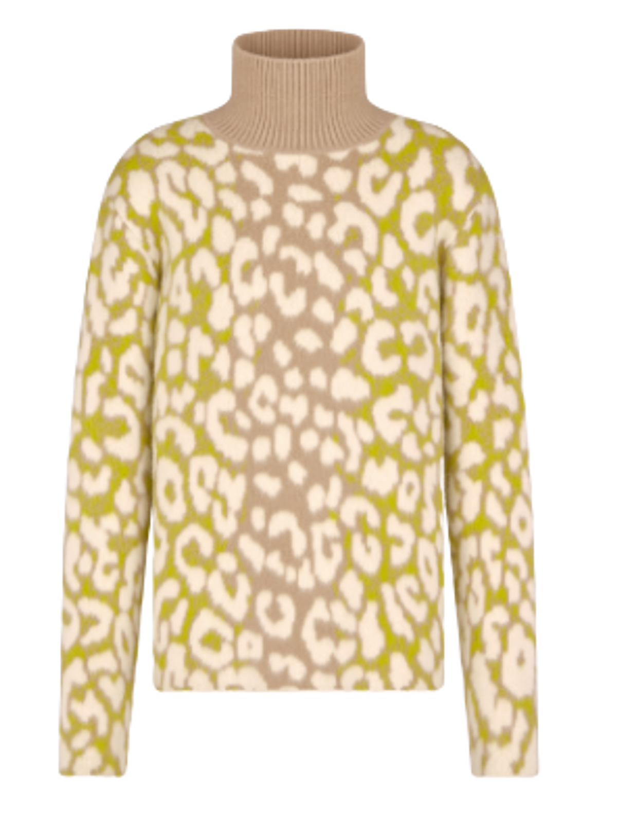 Dior Leopard Motif Stand Collar Sweater