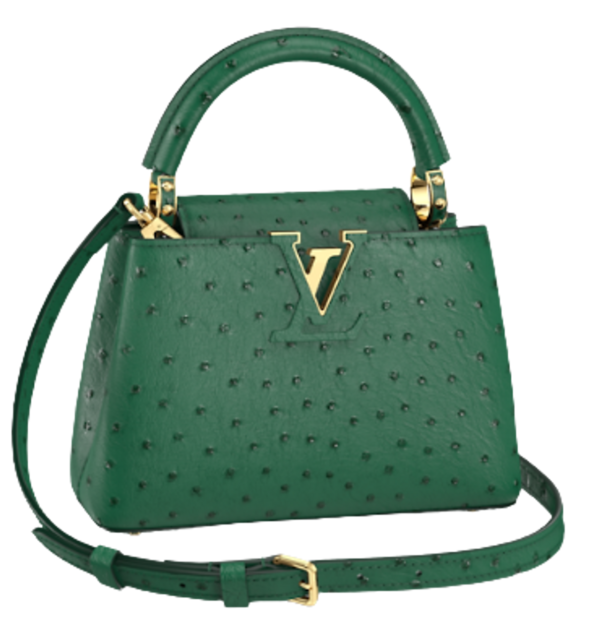 Louis Vuitton Capucines Green Bag