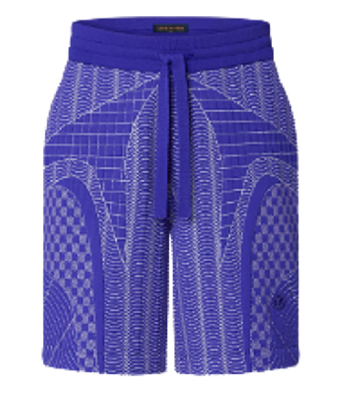 Louis Vuitton Technical Purple Shorts