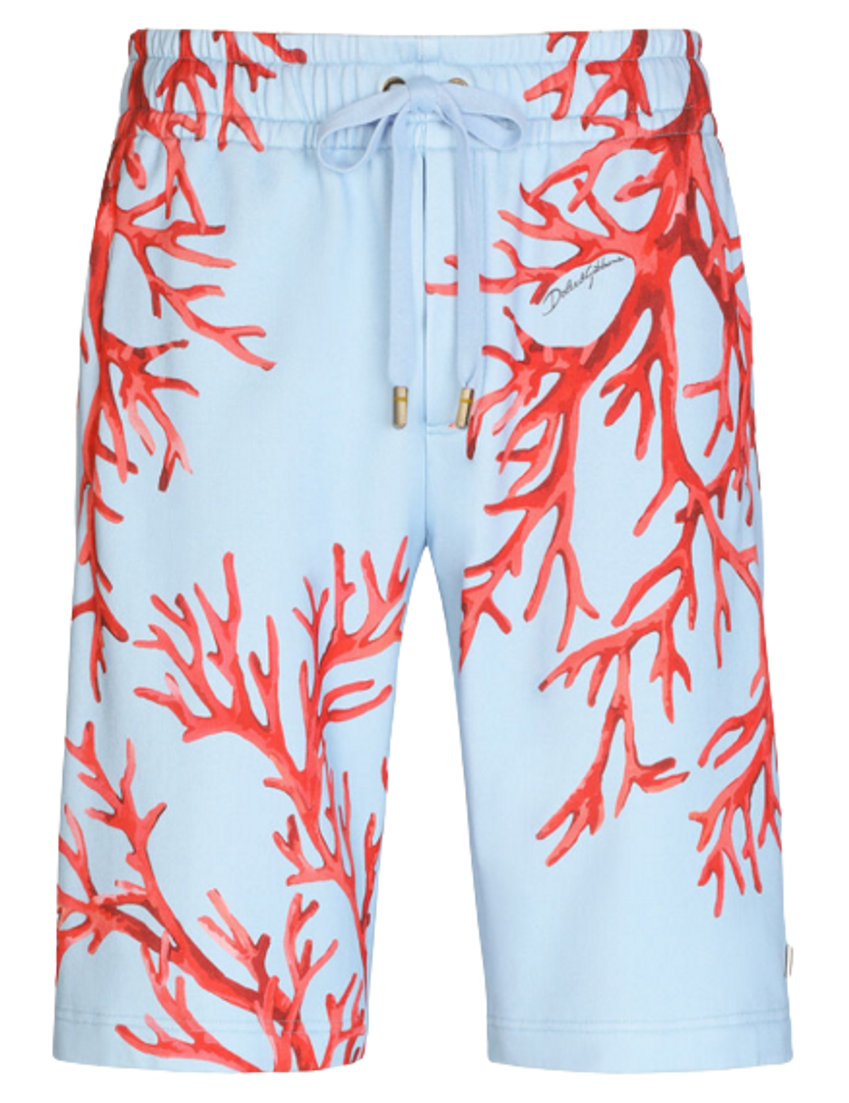 Dolce & Gabbana Coral Print Mulitcolor Shorts