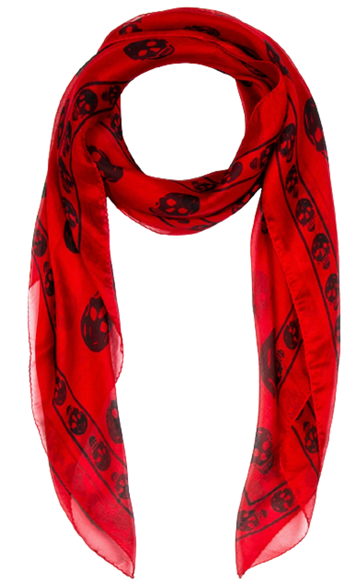 Alexander McQueen Skull Print Scarf In Black