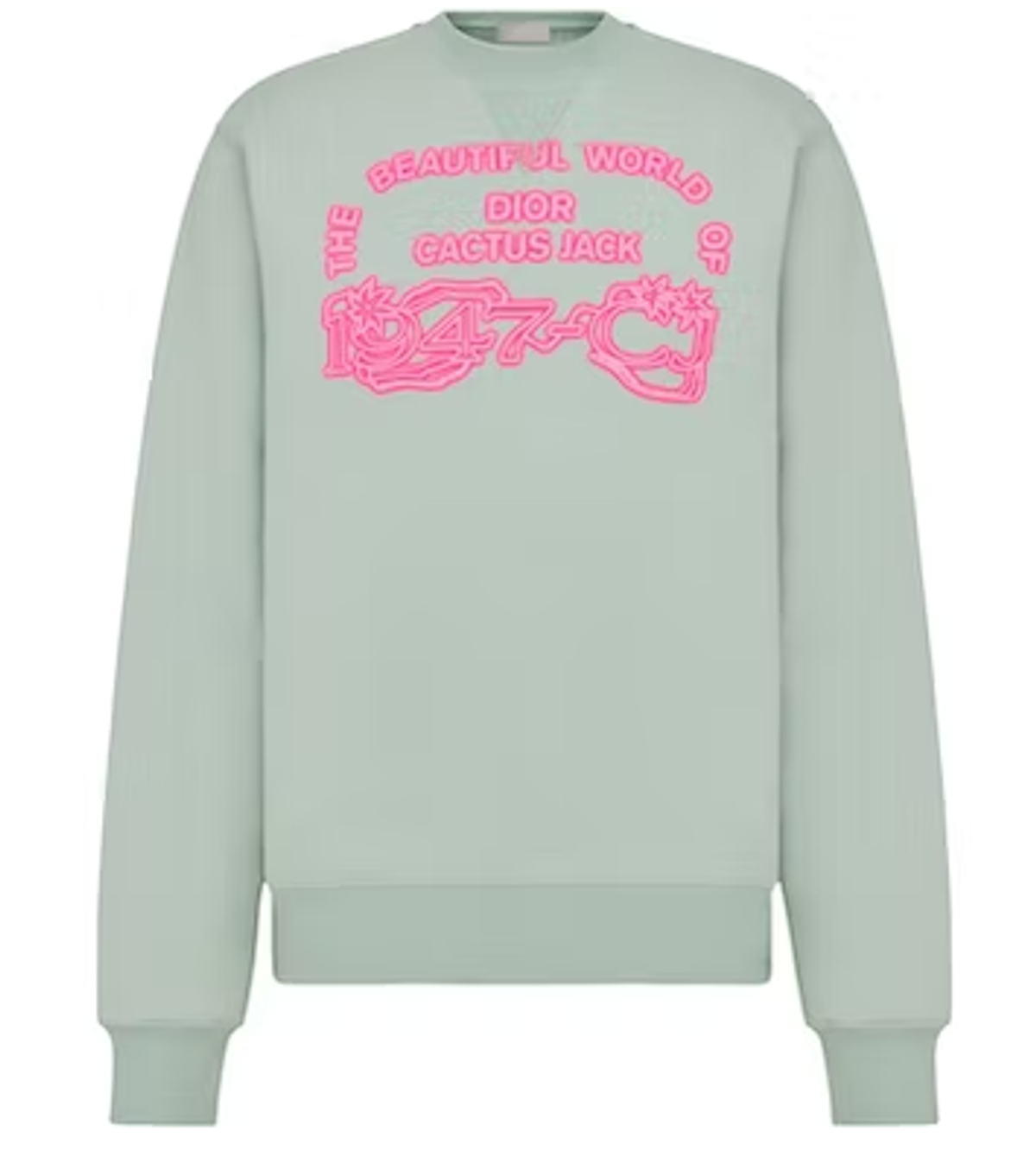 dior cactus jack logo