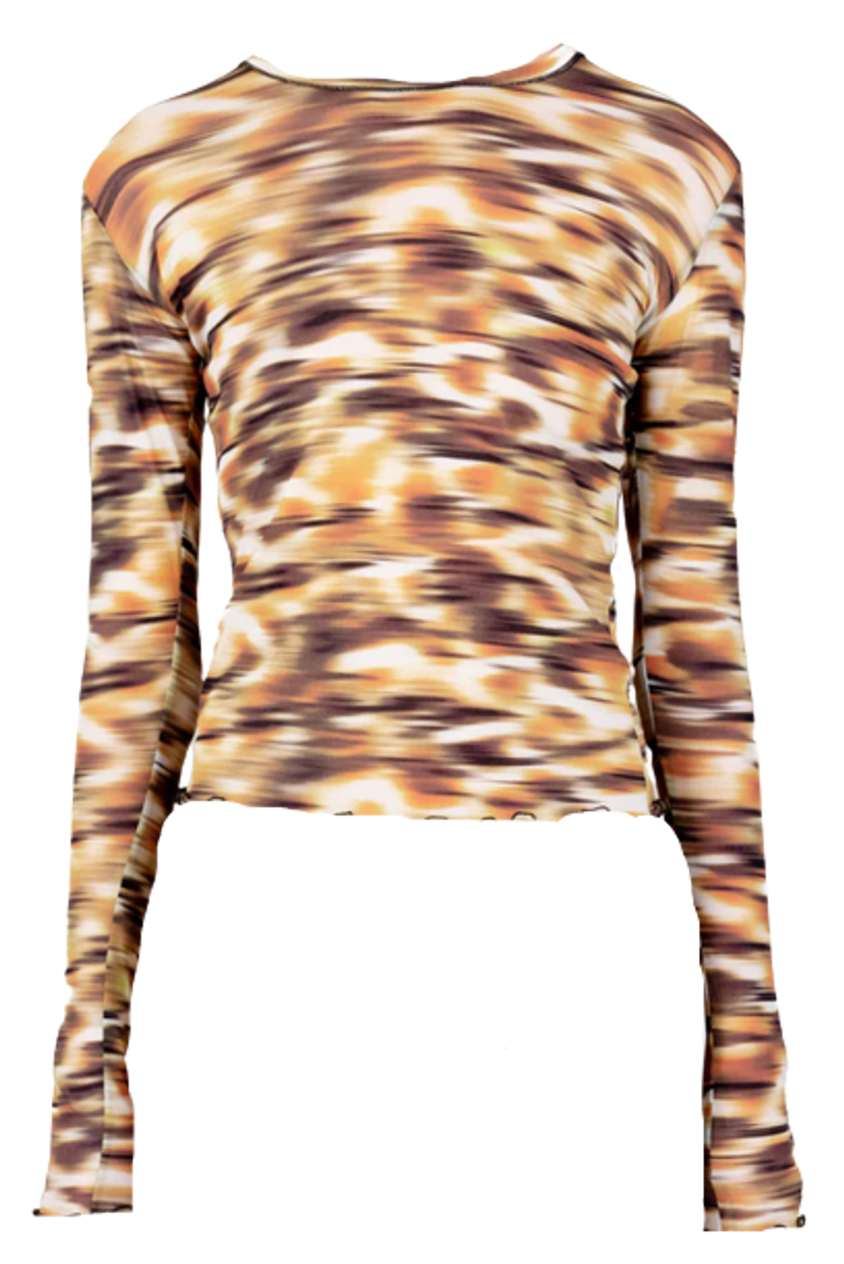 Priscavera Savanna Long Sleeve Mesh Top