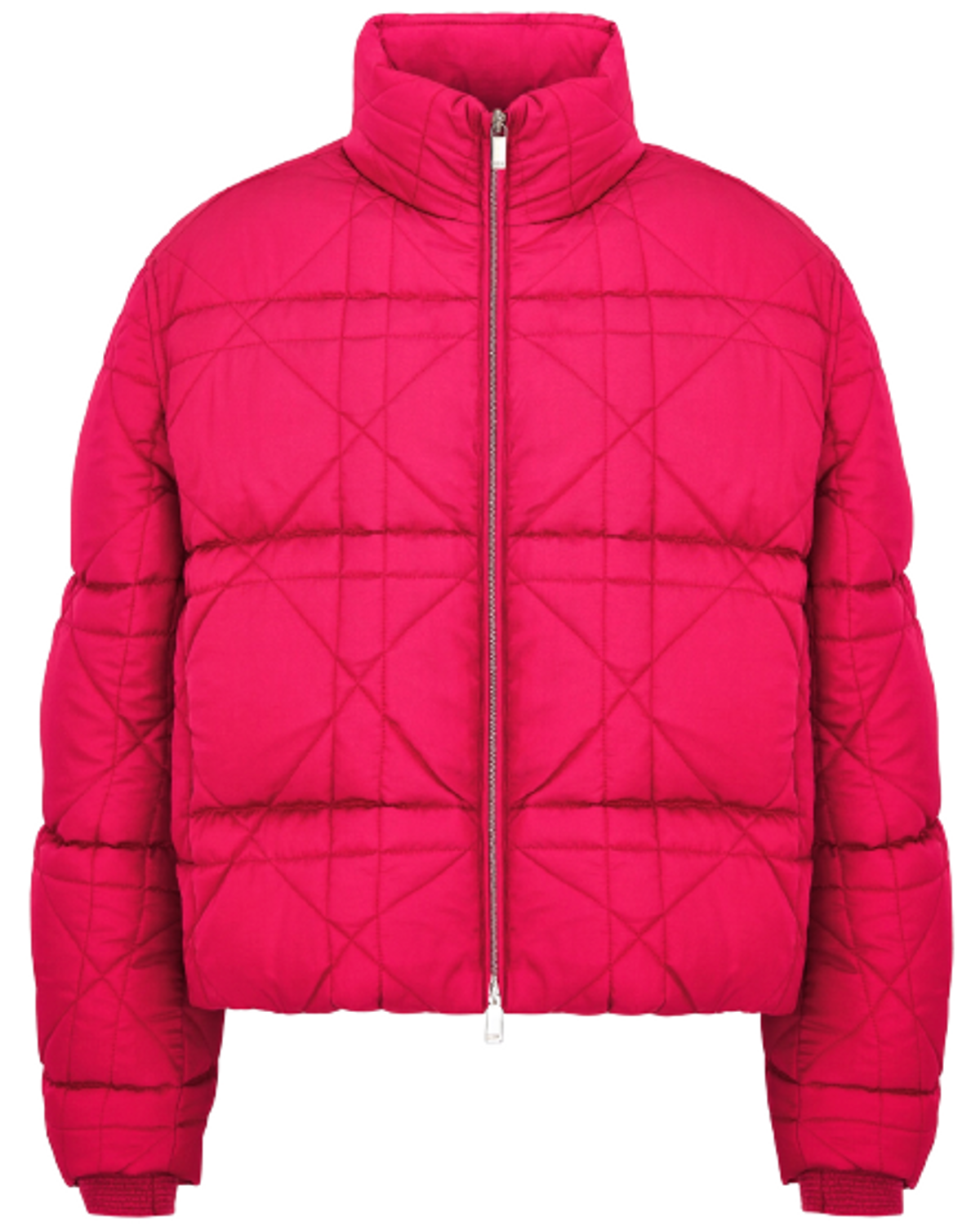 Dior × ERL Pink Technical Canvas Down Jacket