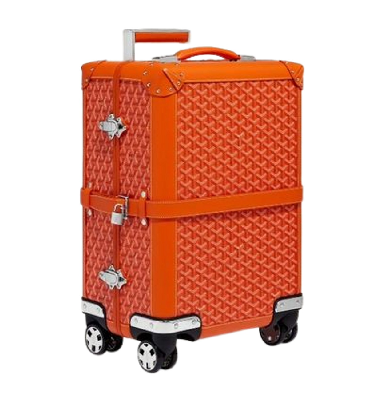Goyard Bourget PM Trolley Case WHAT’S ON THE STAR?