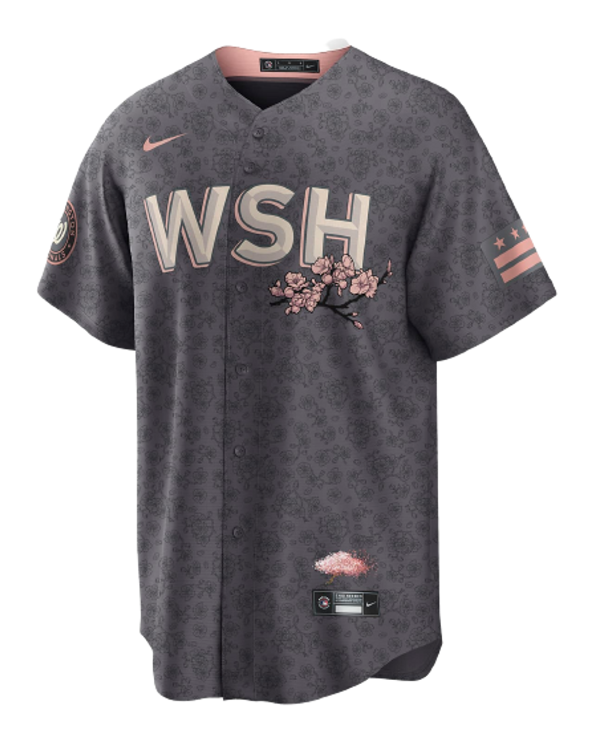 Nike MLB Washington Nationals City Connect