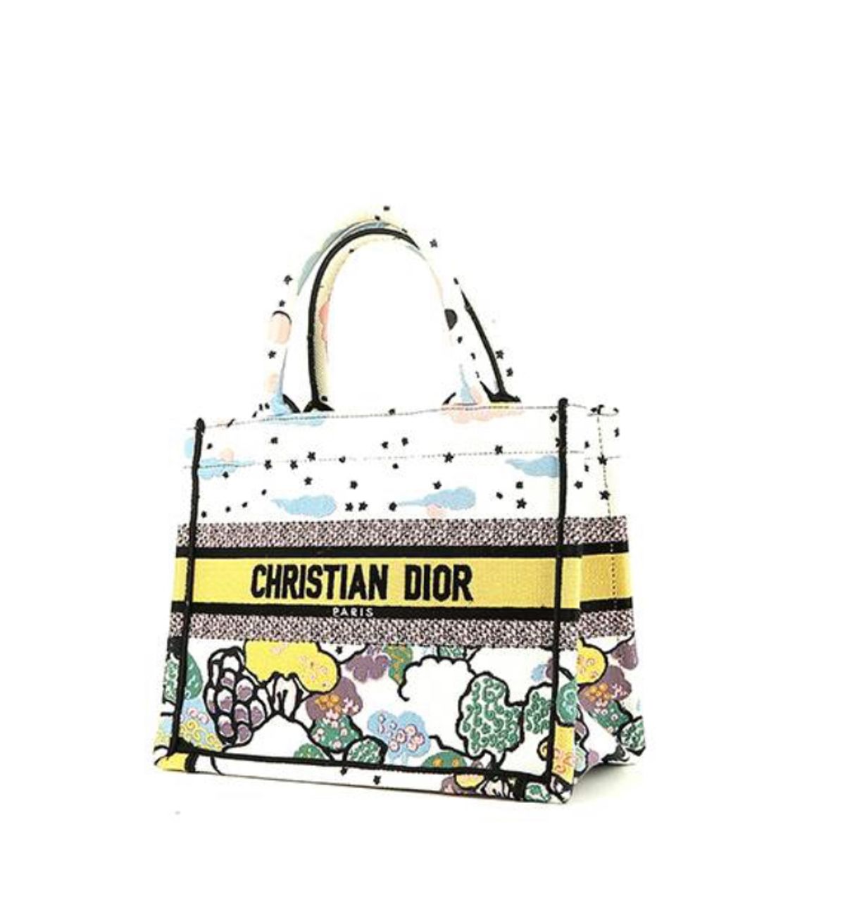 Dior Small Shopping Book Tote Bag