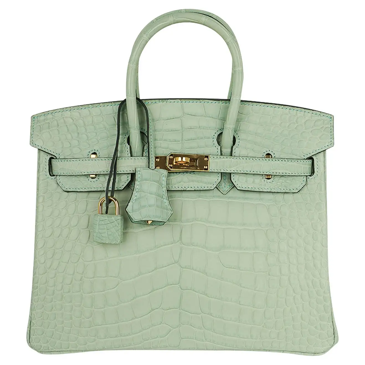 Hermes Alligator Gold Hardware Birkin 25 Bag