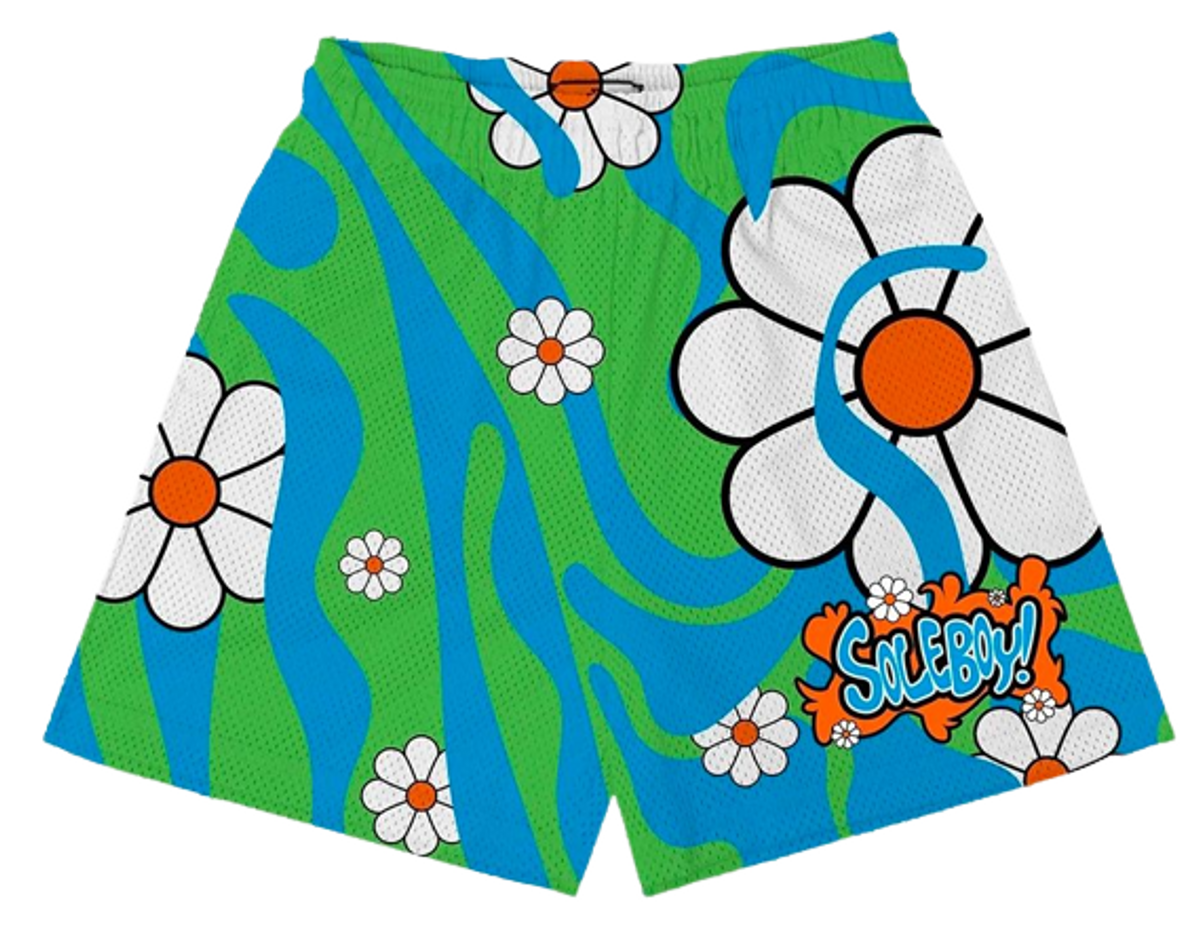 SoleBoy Groovy Green Mesh Shorts WHAT’S ON THE STAR?