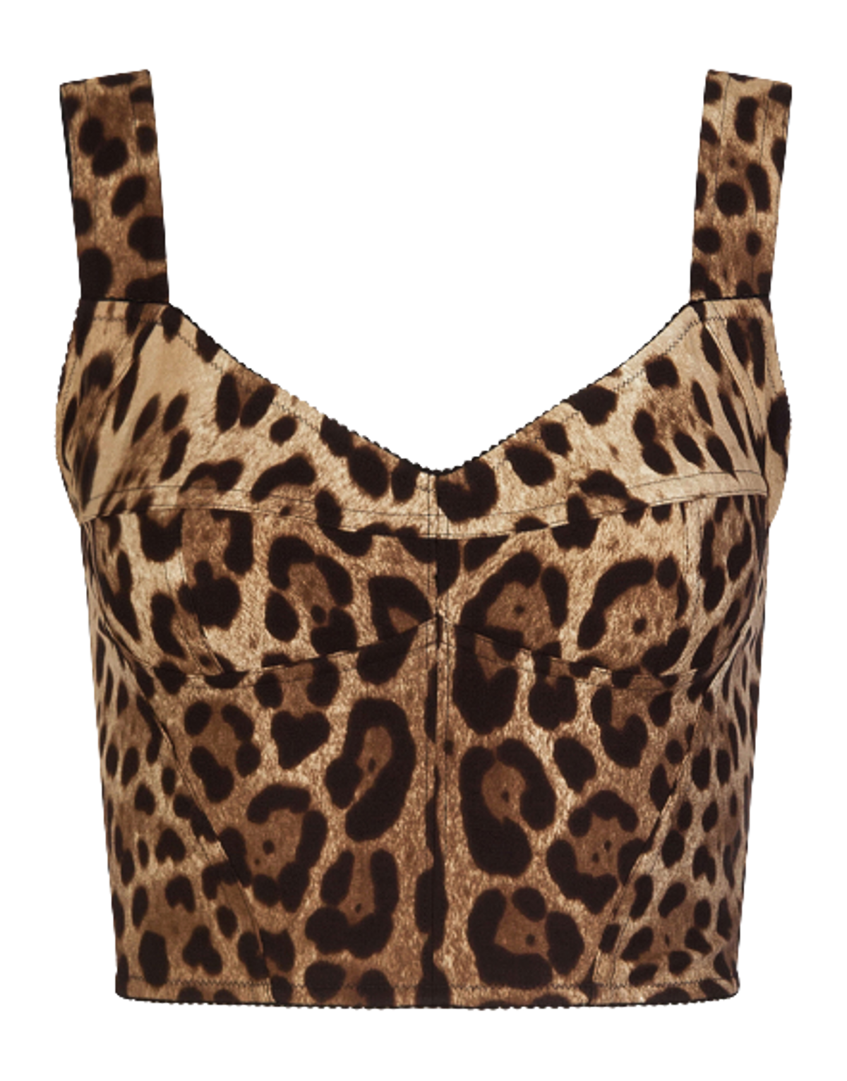 Dolce & Gabbana Leopard-Print Charmeuse Bustier Top