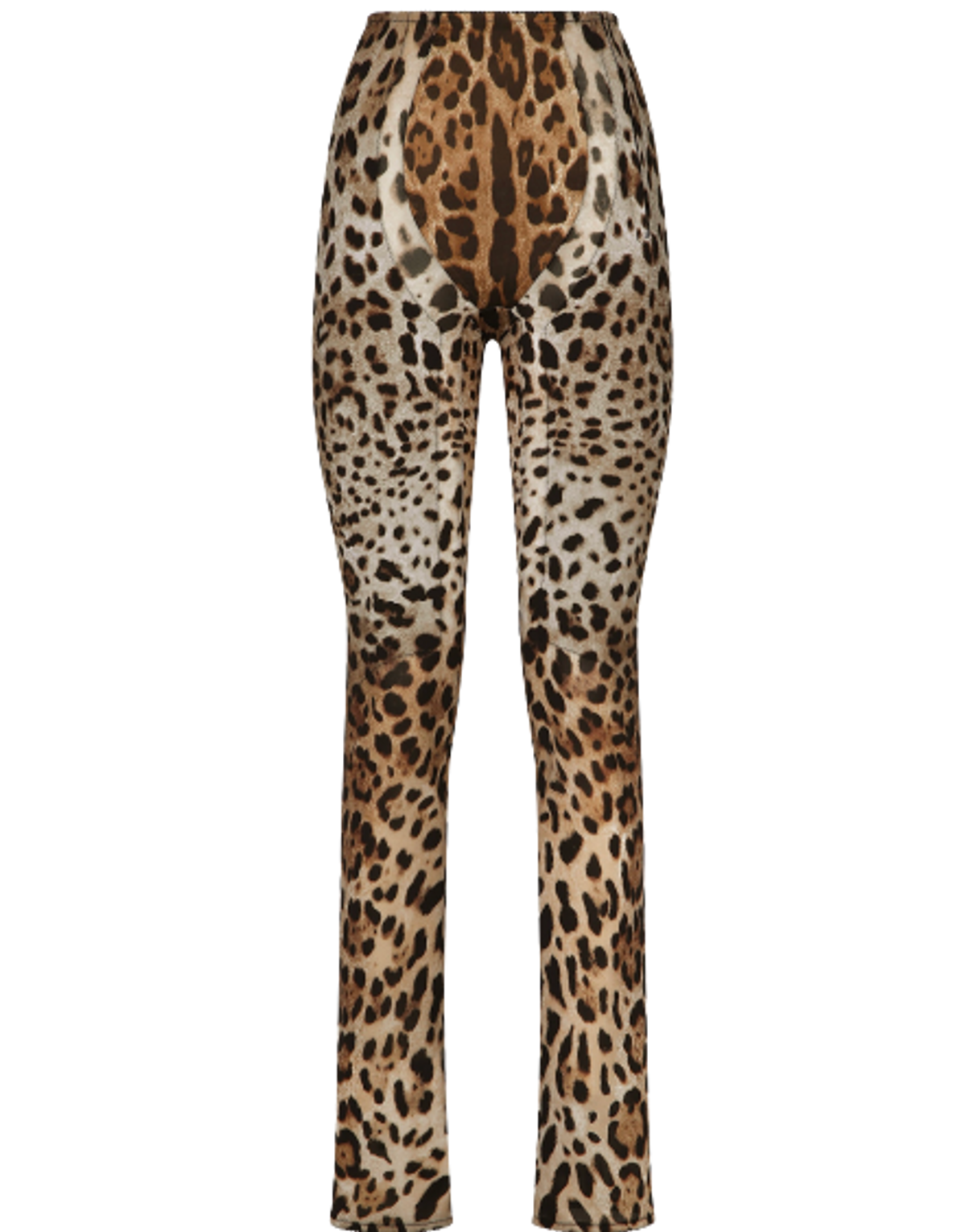 Dolce & Gabbana Leopard-Print Marquisette Pants