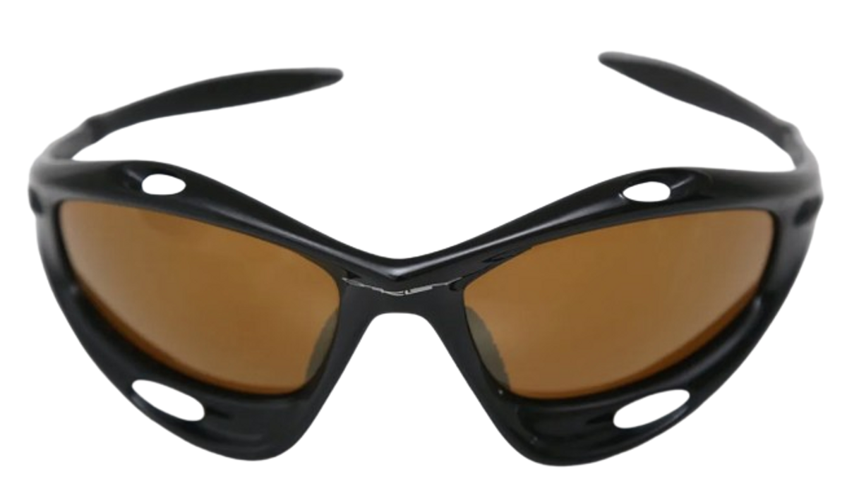 ray ban reading sunglasses