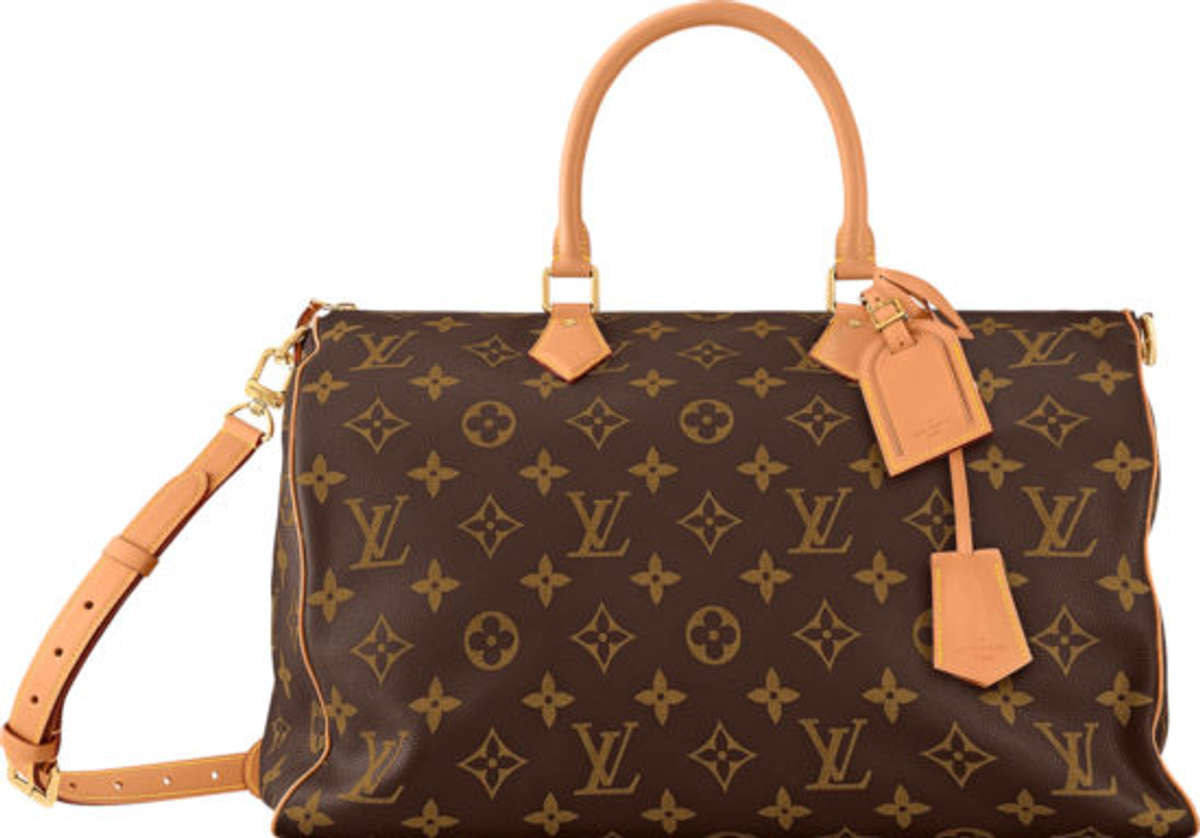 Louis Vuitton Brown Monogram Speedy 50 Bag