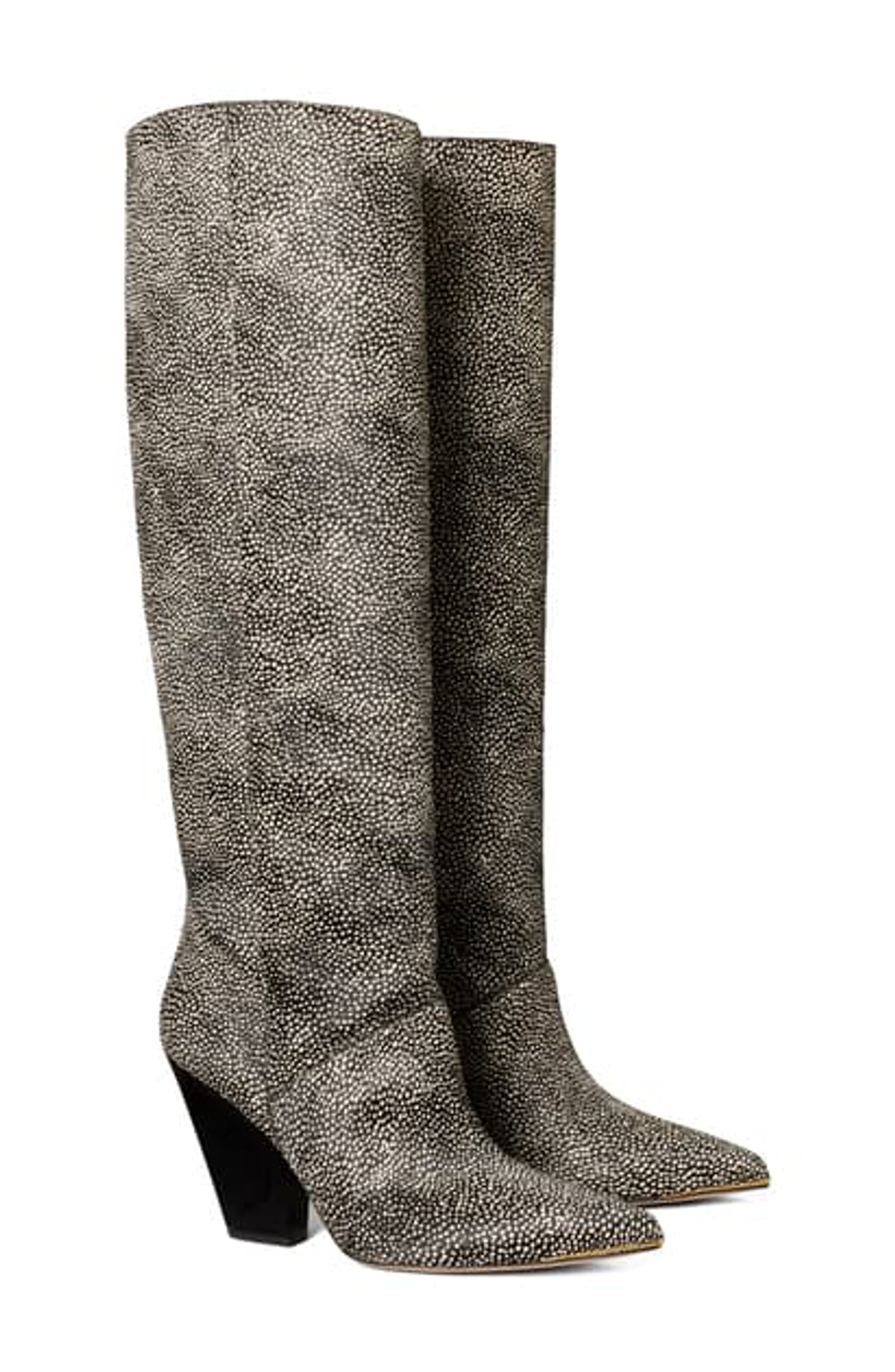 Tory Burch Lila Pointed Toe Boot In Black/ White / Black/ White