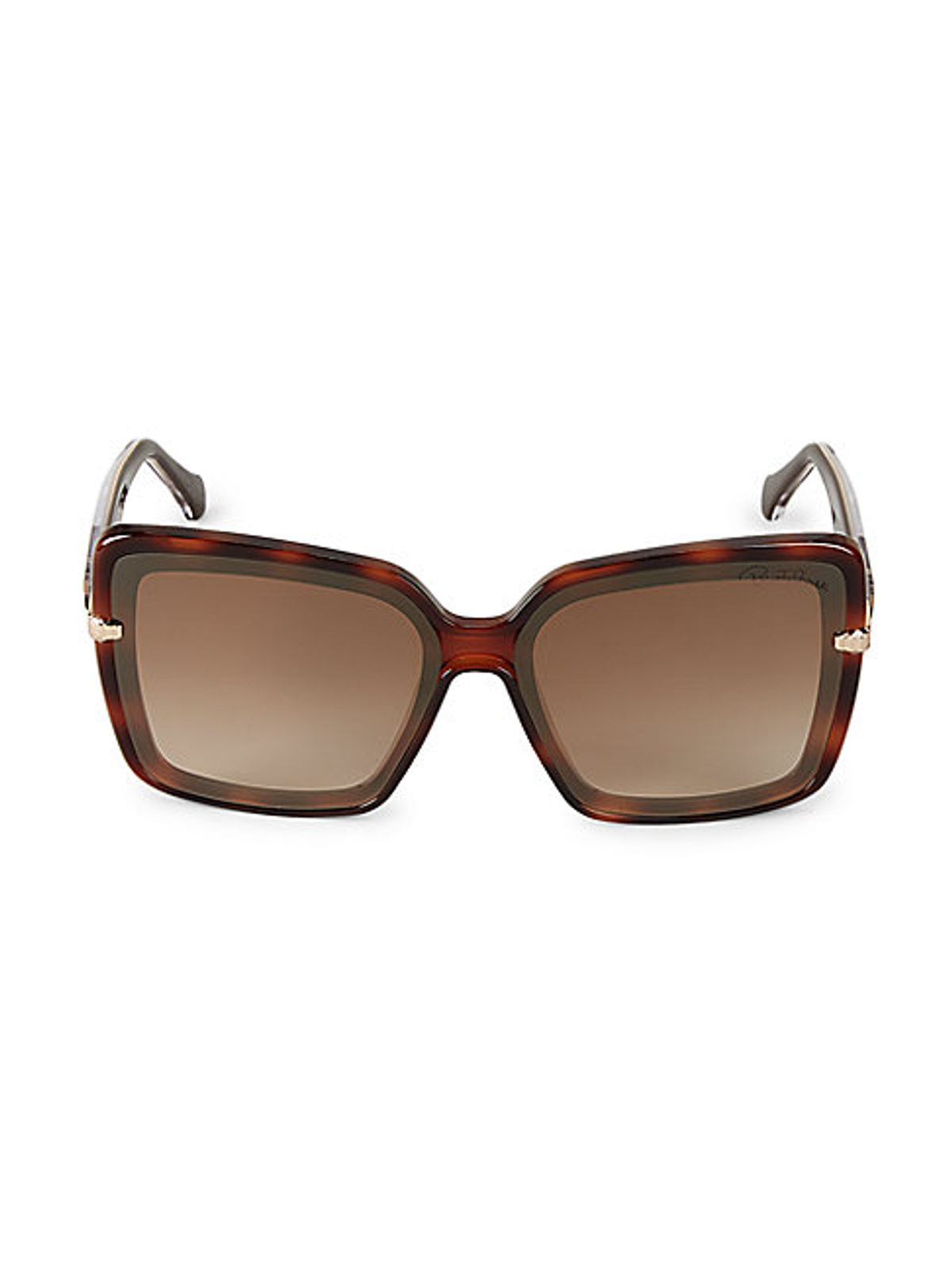 Roberto Cavalli Injected 62mm Oversized Square Sunglasses In Dark Havana