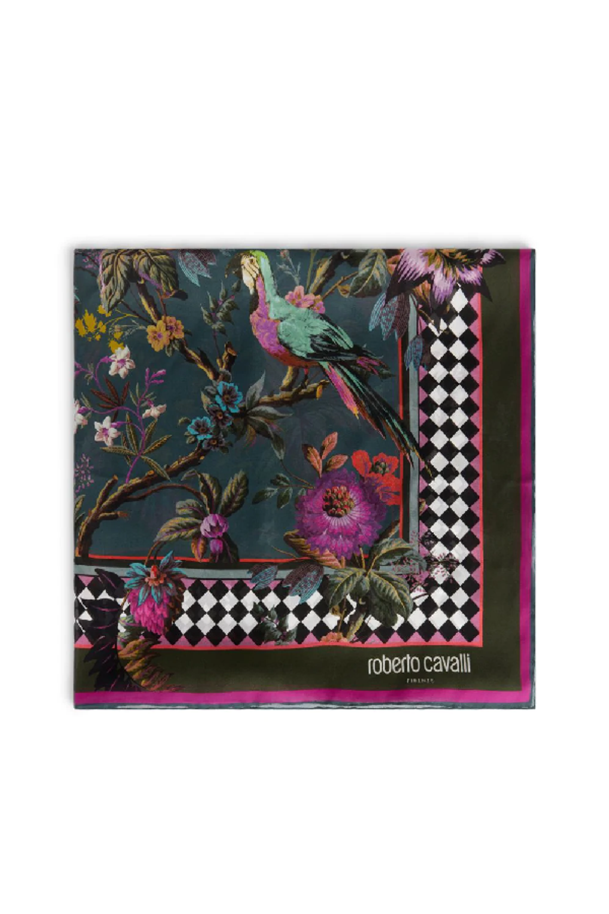 Roberto Cavalli Botanic Frame Print Silk Stole In Green