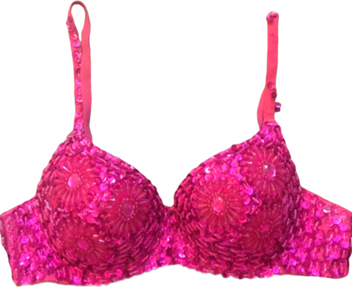 No Name GoGo Rave Festival Dance Pink Sequin Bra