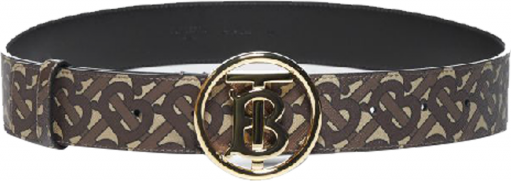 Burberry E-Canvas Con Monogramma Belt