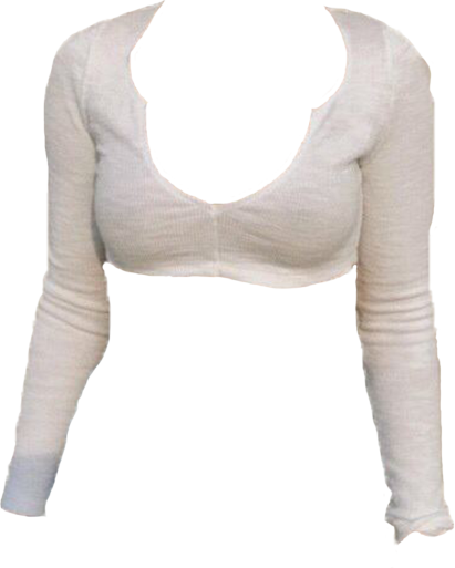Princess Polly Motel Guan Crop Top