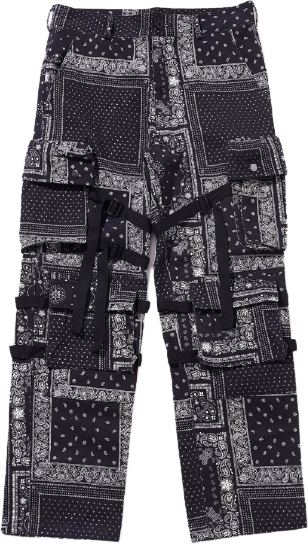 Rogic Paisley 01 20FW Pants