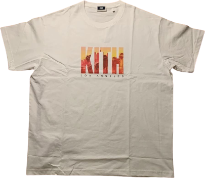 kith landmark tee
